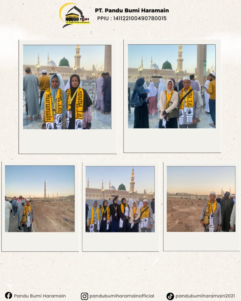 WhatsApp Image 2026-02-12 at 17.43.29